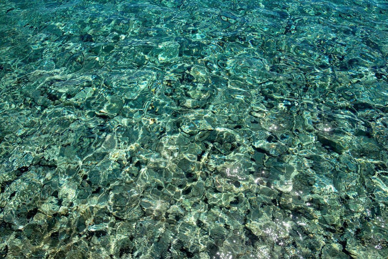 Villa Kalypso Chalki Town 外观 照片